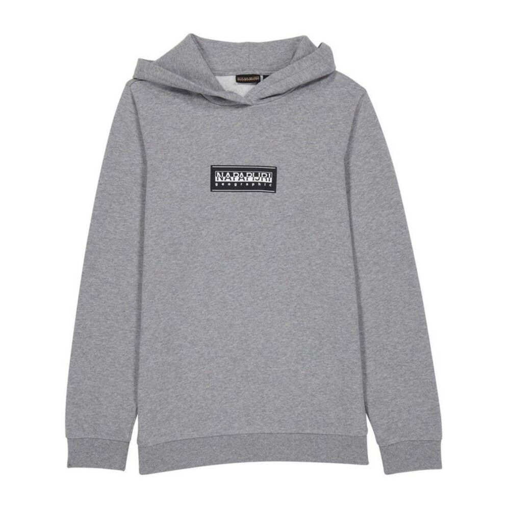 Napapijri Mens Hoodie / Gray